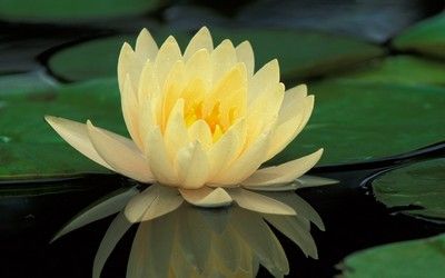 медитация на нисхождение Света 3