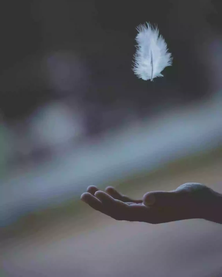 Вопросы по рейки