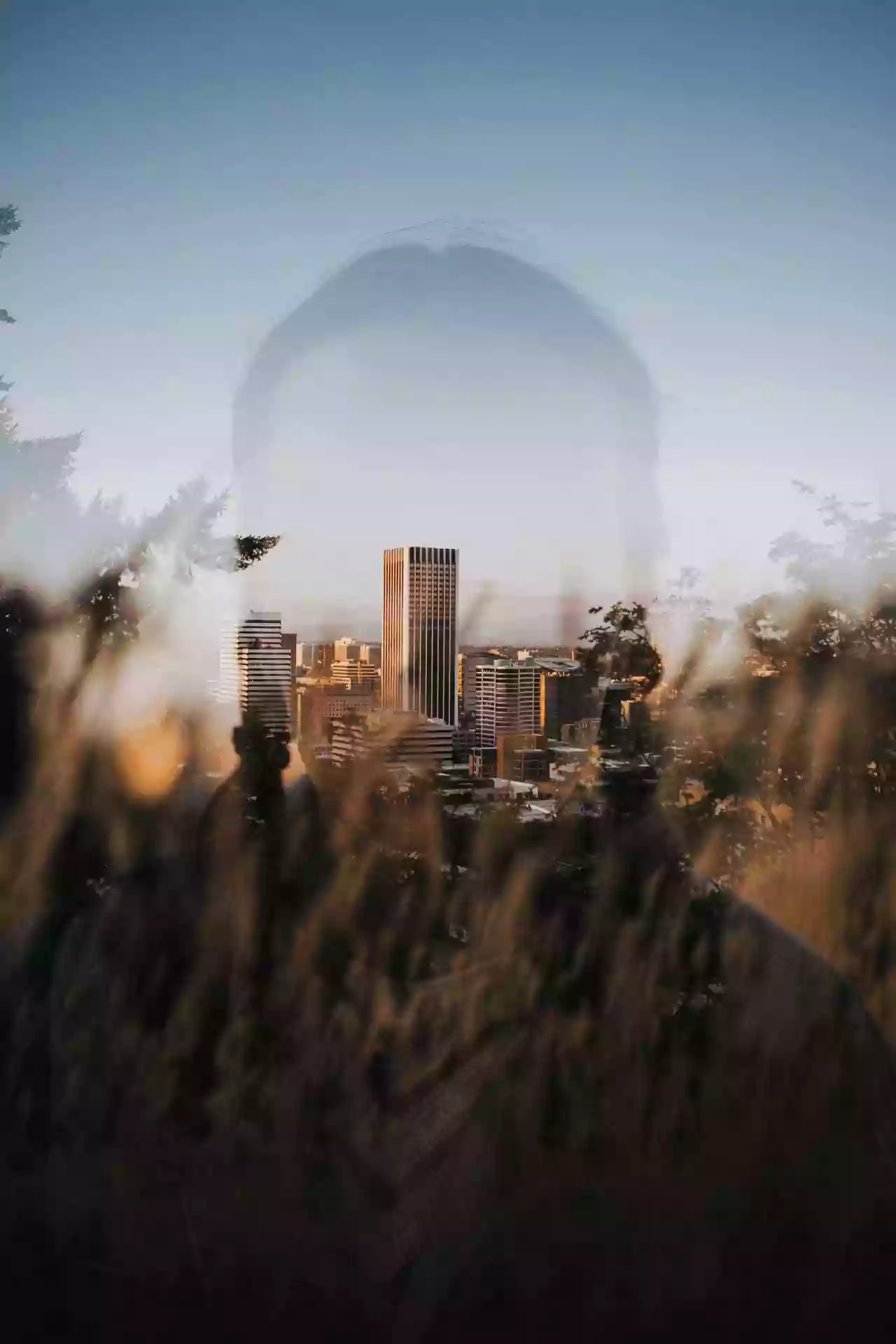 Ясновидение. Система развития.