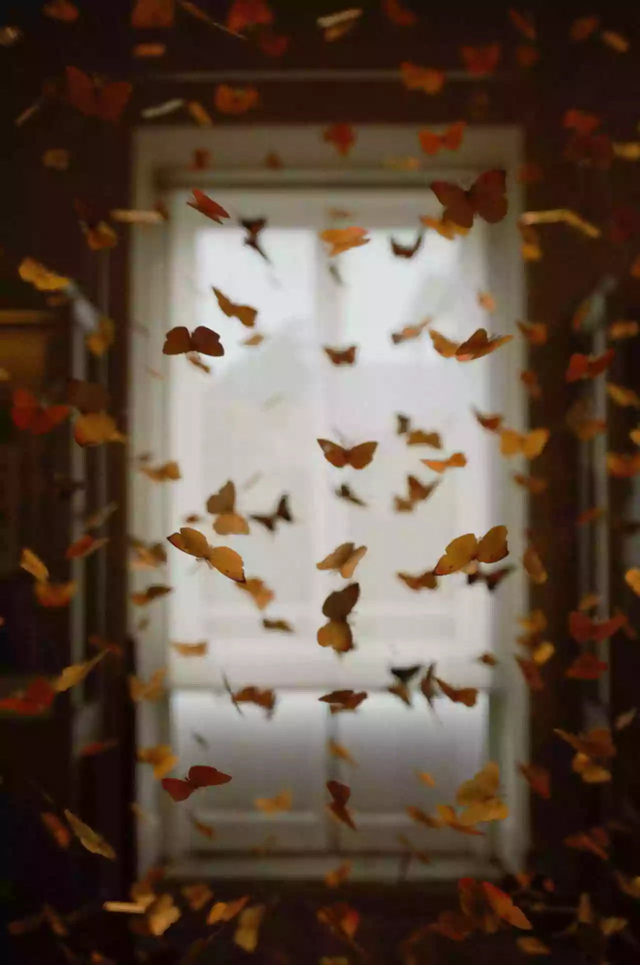 Янтра и янтровидение